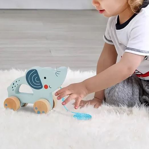 Wooden children's sliding toy elephant 18m+ 14.8x16.2x6.5cm Tooky Toy