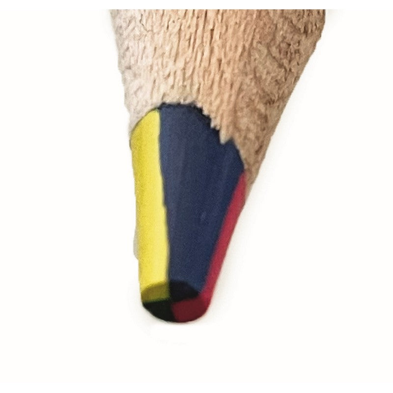 Spring Rainbow coloring pencil with pom poms in various colors Moses