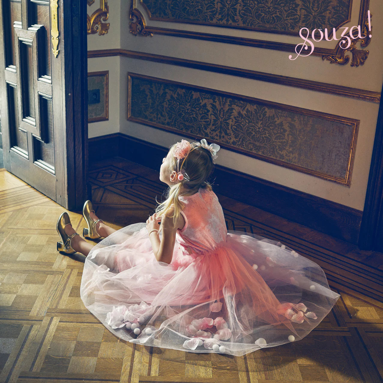 Παιδική στολή Ροζ Φόρεμα Κύκνος με τούλινη φούστα και πον πον 3-7 ετών